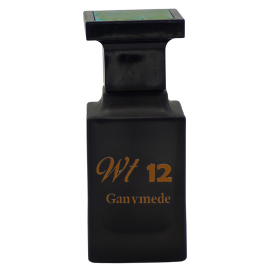 WT 12 Ganymede perfume
