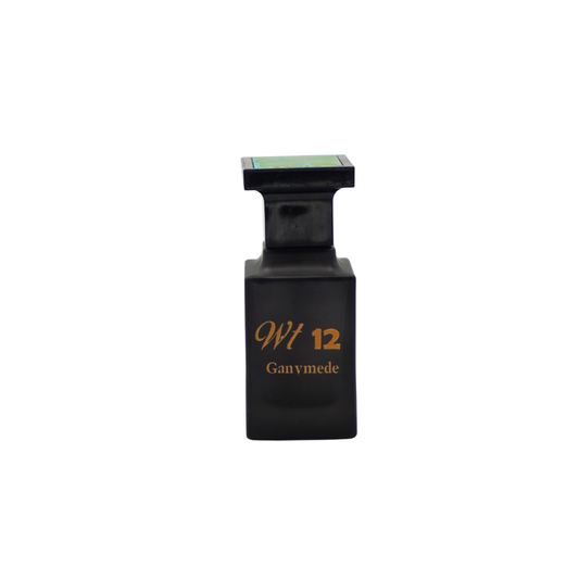 WT 12 Ganymede perfume